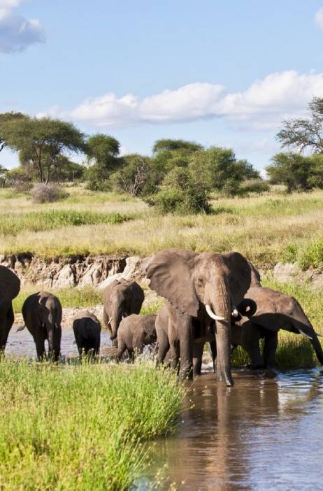 Tarangire, Serengeti & Ngorongoro Crater
